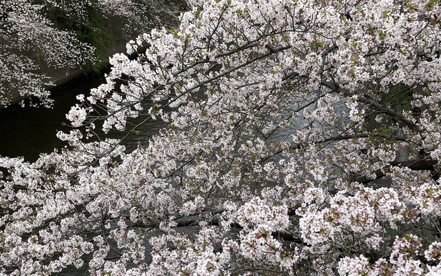 東京都目黒区の街並み